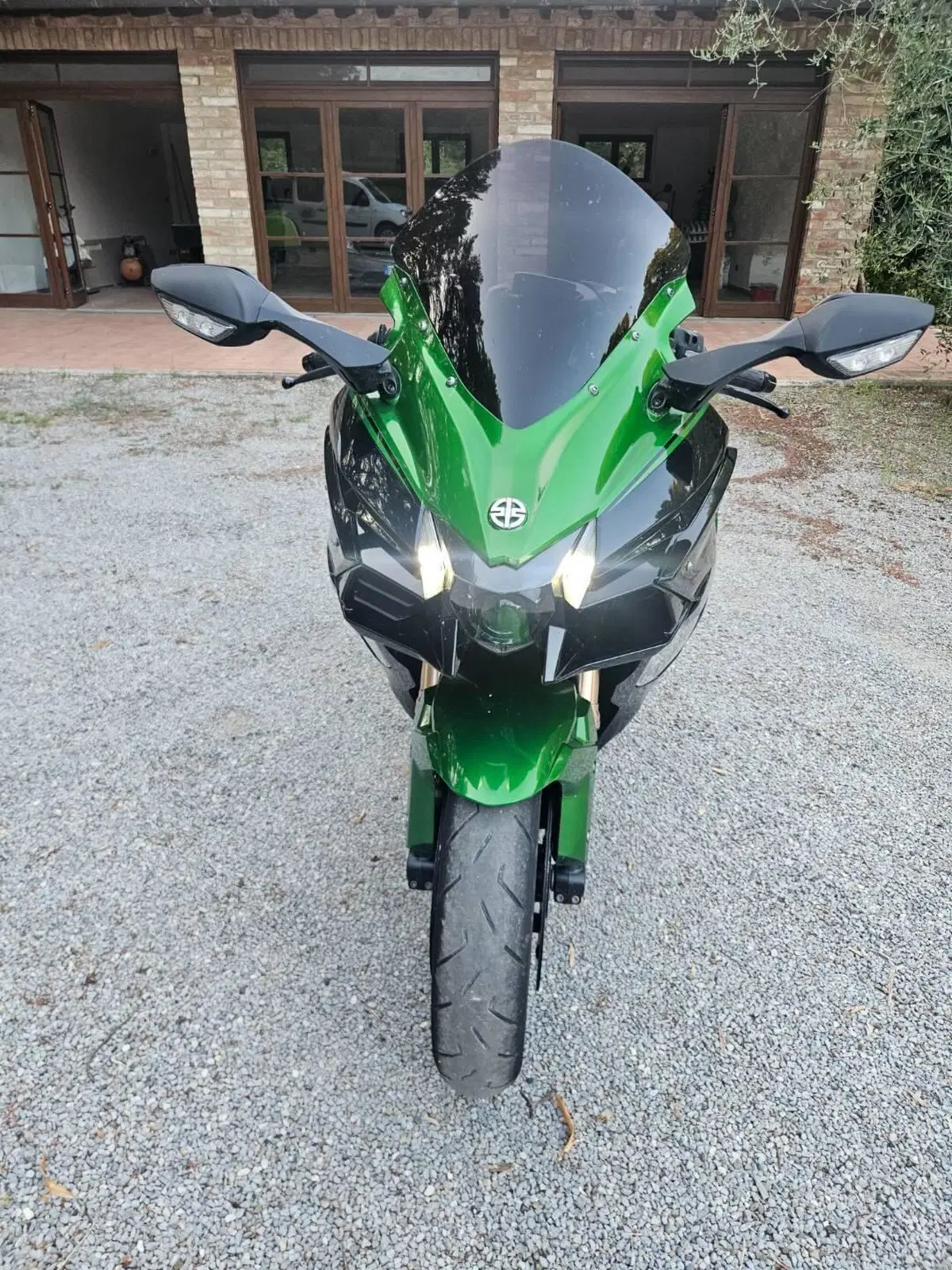Kawasaki Ninja H2 SX SE (2018 - 20) (3)