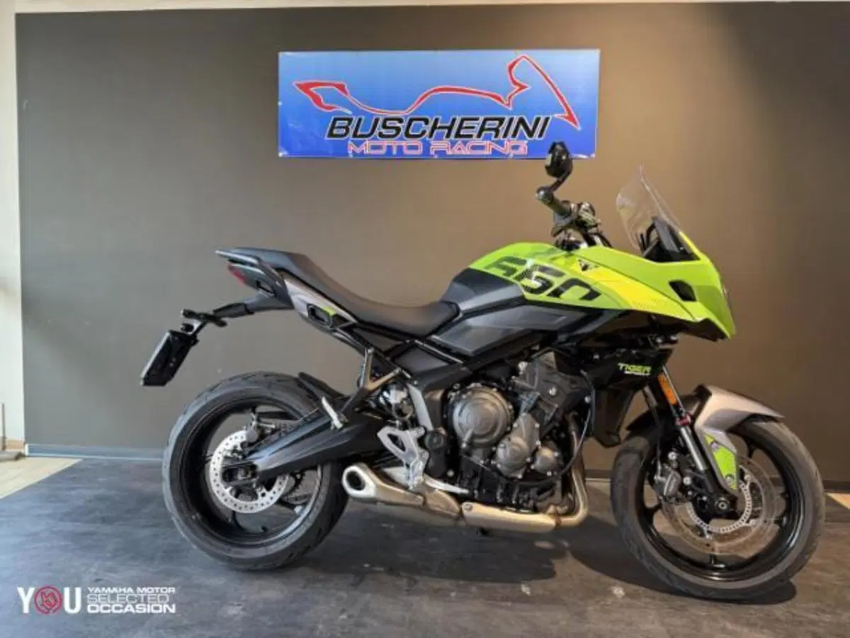 Triumph Tiger Sport 660 (2025) (9)