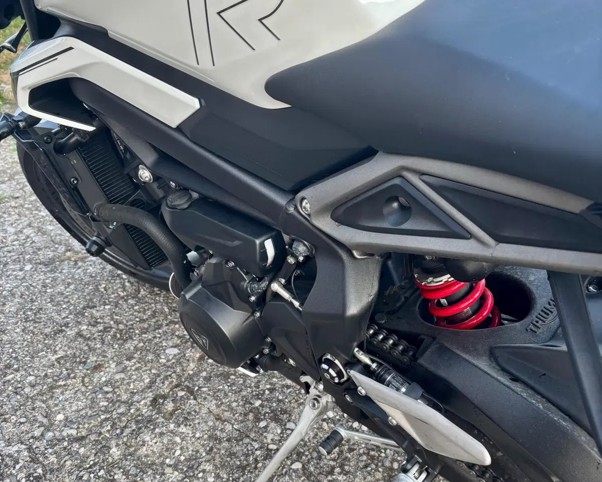 Triumph Street Triple 765 R (2023 - 26) (6)