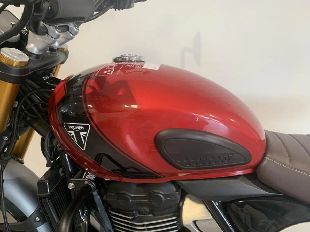 Triumph Scrambler 400 X (2024 - 26) (8)