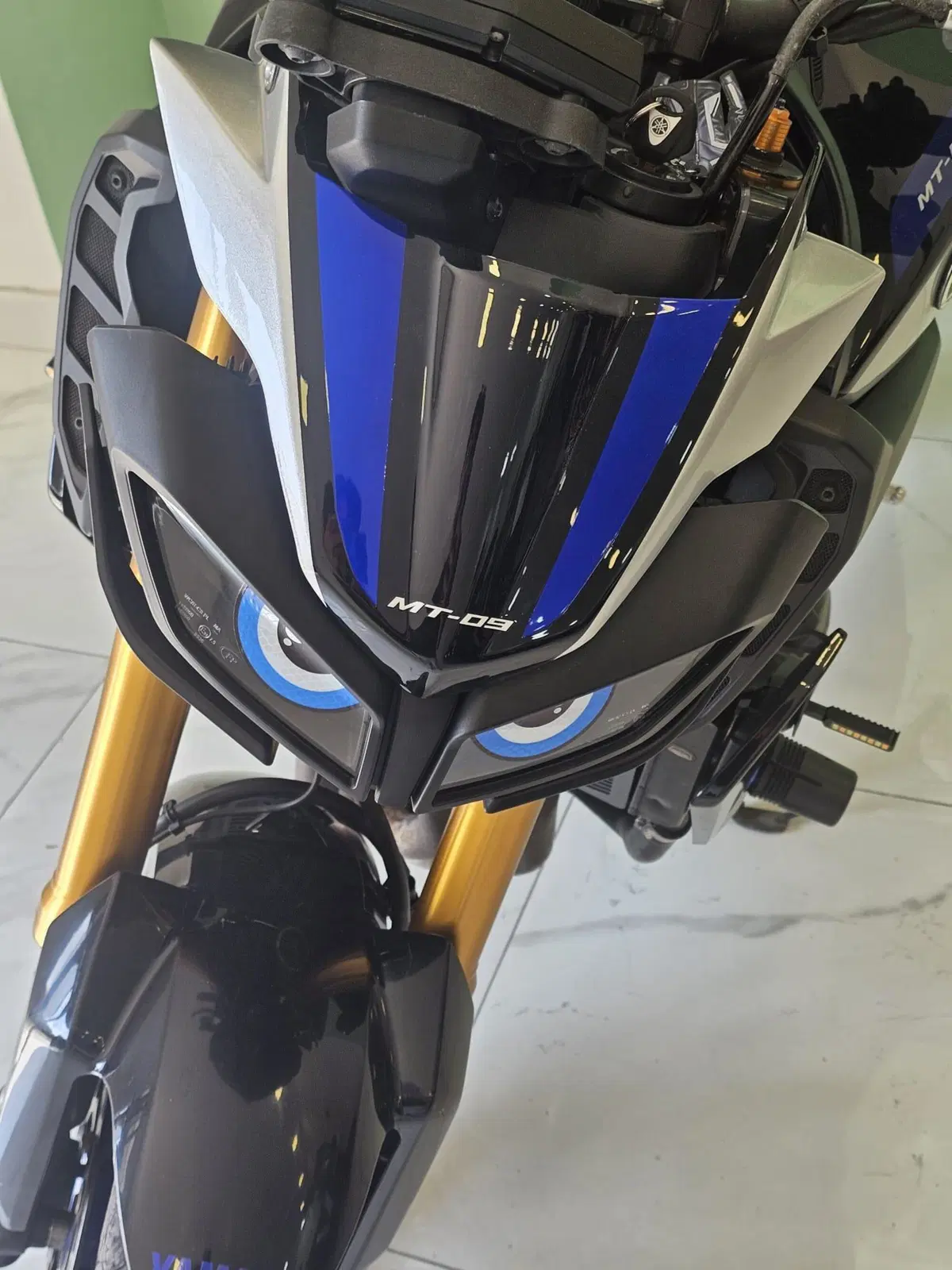 Yamaha MT-09 SP (2018 - 20) (6)