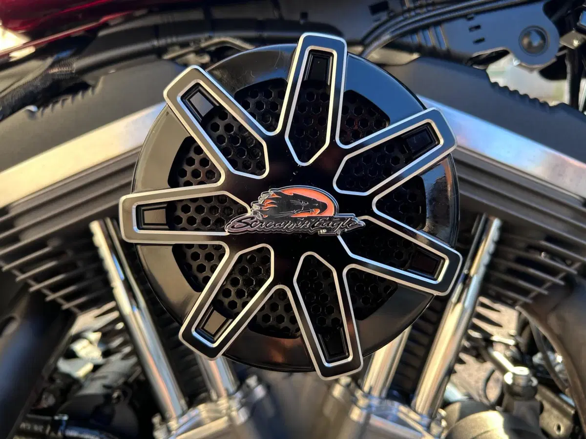 Harley-Davidson XL 1200 CX Roadster (2016 - 18) (4)