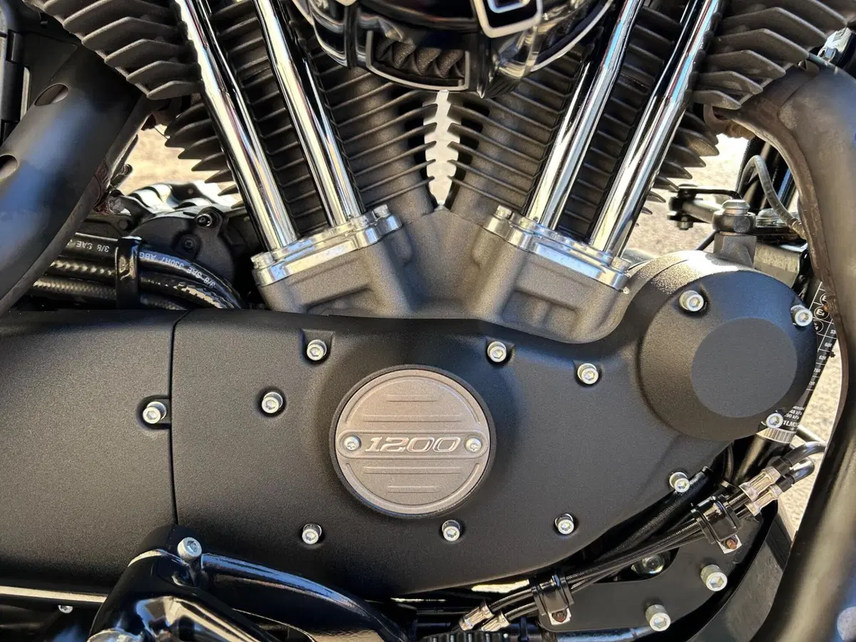Harley-Davidson XL 1200 CX Roadster (2016 - 18) (5)