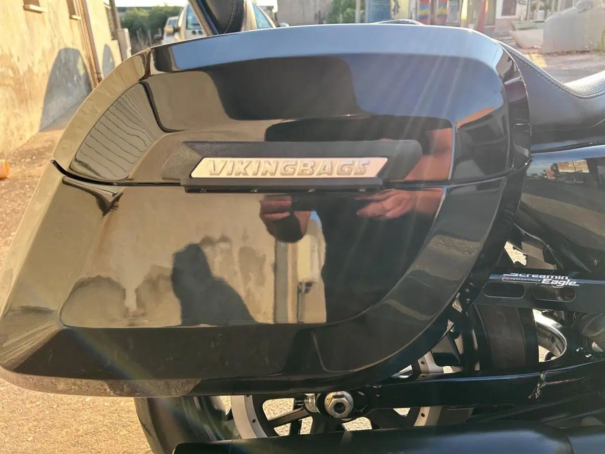 Harley-Davidson XL 1200 CX Roadster (2016 - 18) (6)