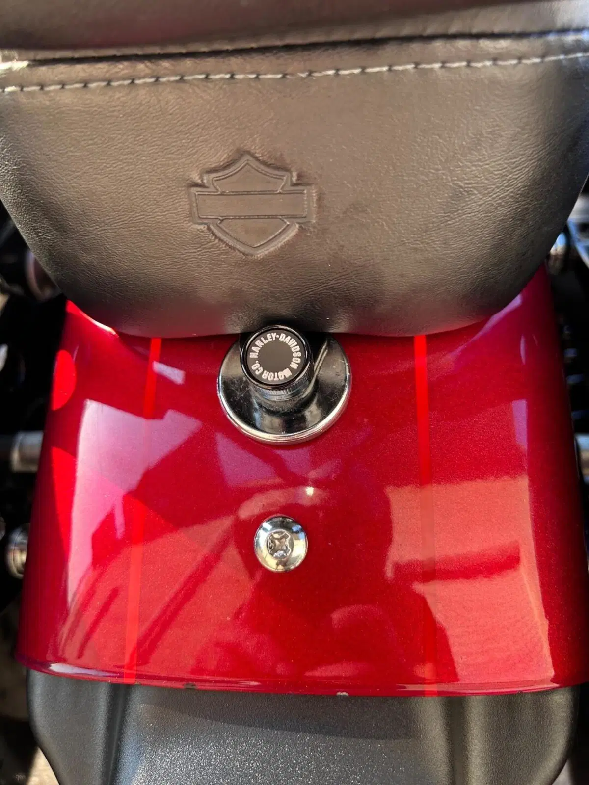 Harley-Davidson XL 1200 CX Roadster (2016 - 18) (12)