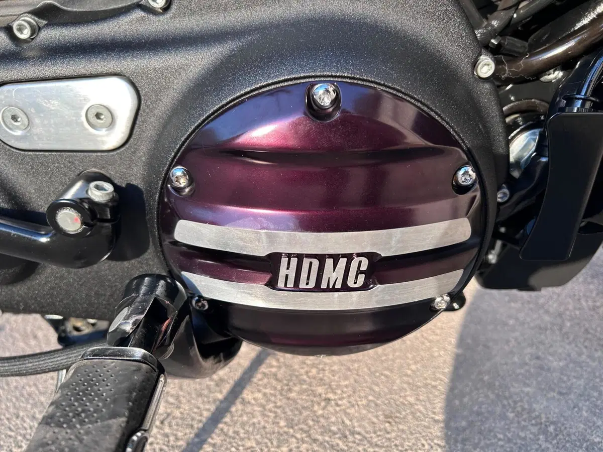 Harley-Davidson XL 1200 CX Roadster (2016 - 18) (15)