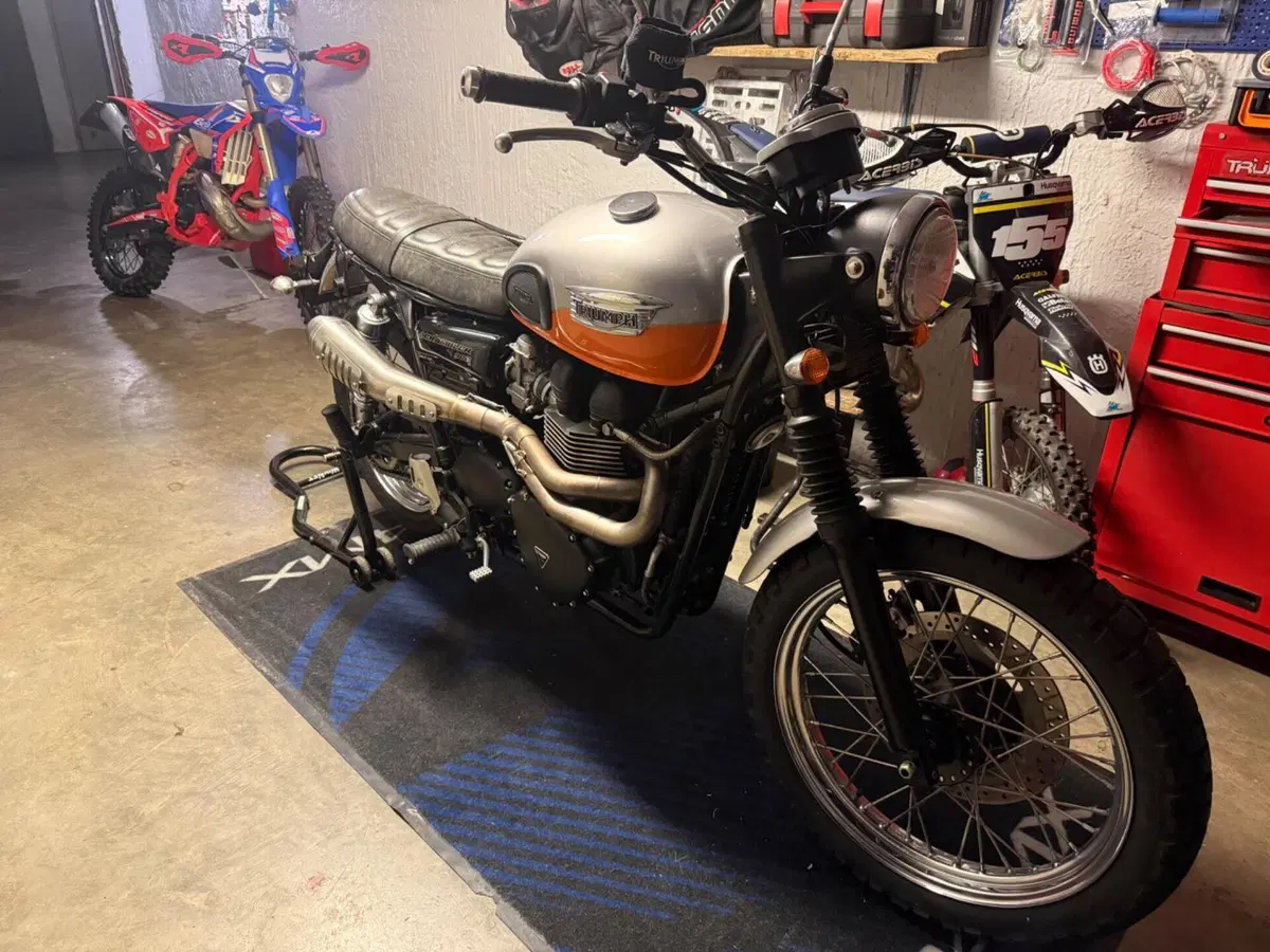 Triumph Scrambler (2006 - 17) (2)