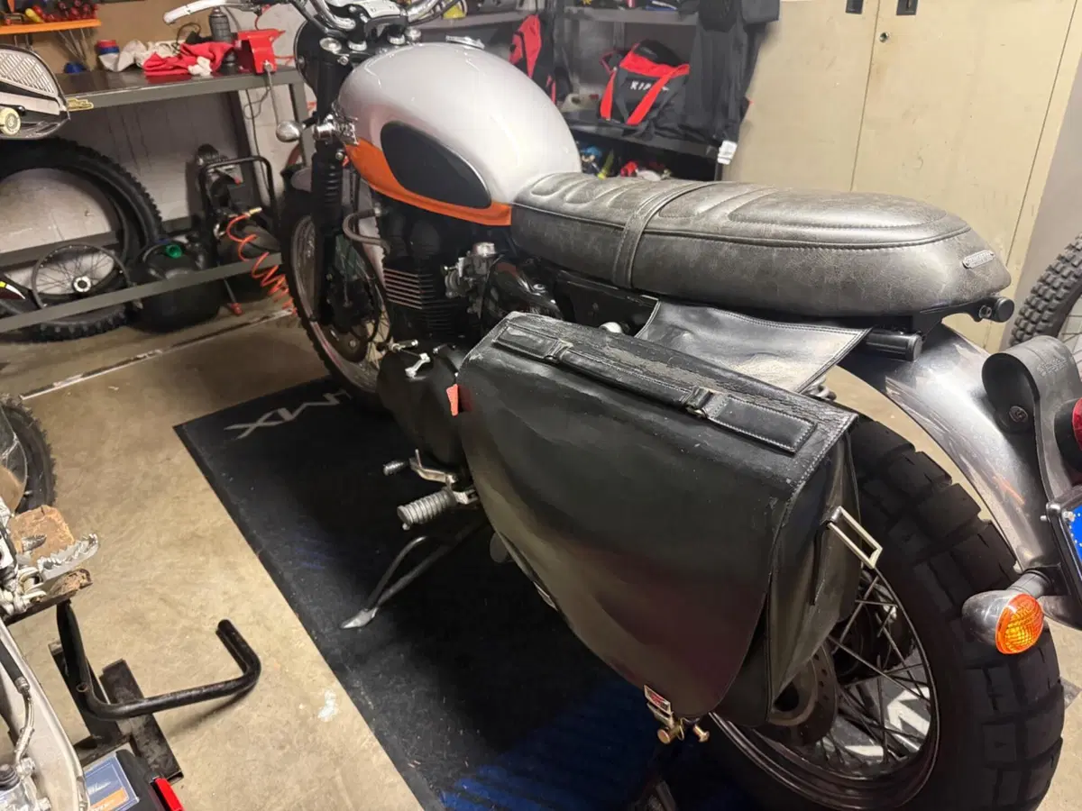 Triumph Scrambler (2006 - 17) (4)