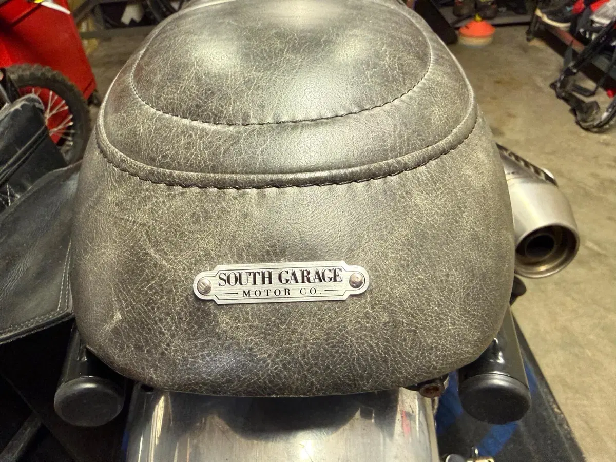 Triumph Scrambler (2006 - 17) (7)