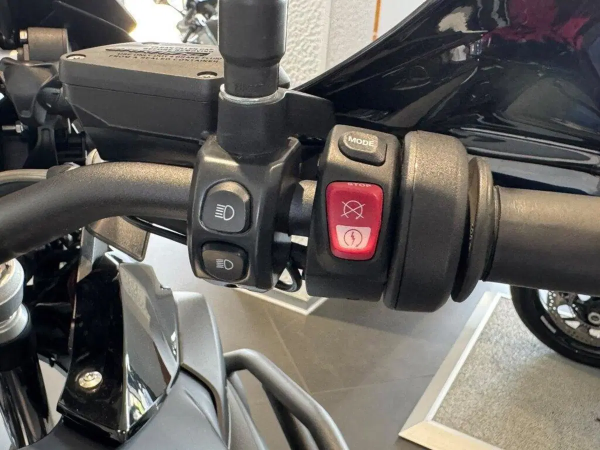 Bmw R 1250 GS (2021 - 24) (10)