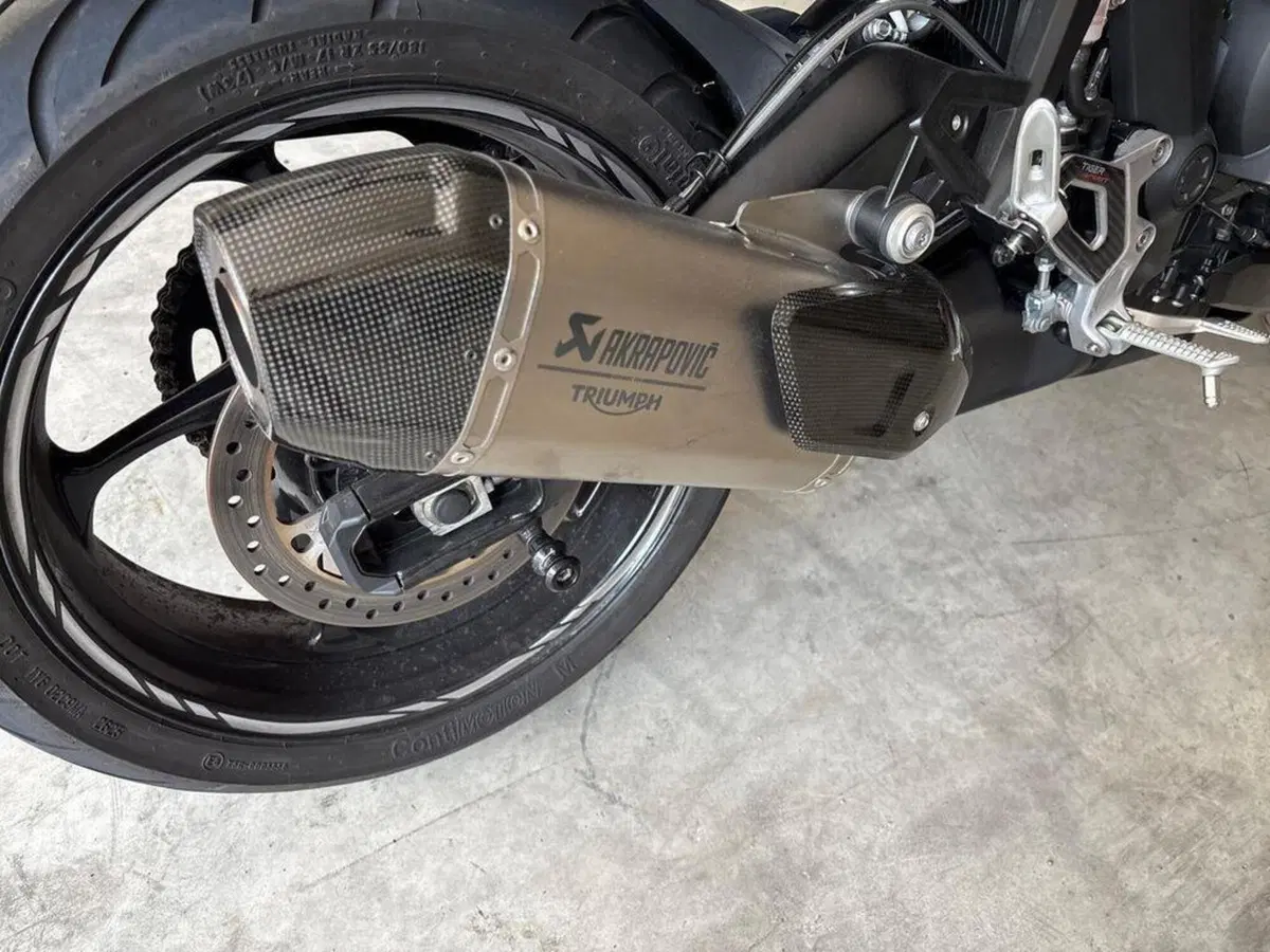 Triumph Tiger 800 ABS (2010 - 14) (10)