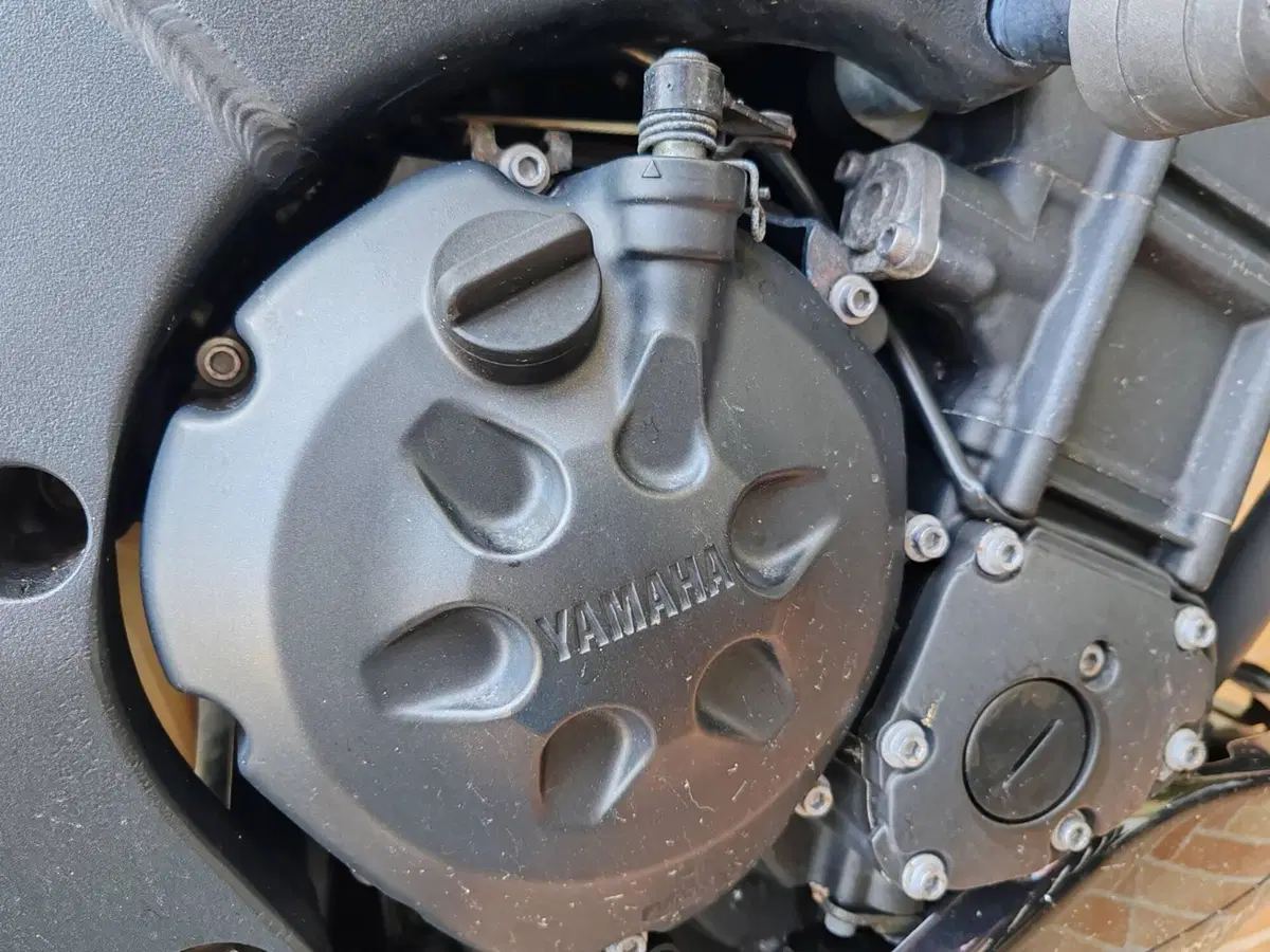 Yamaha FZ1 (2006 - 16) (2)