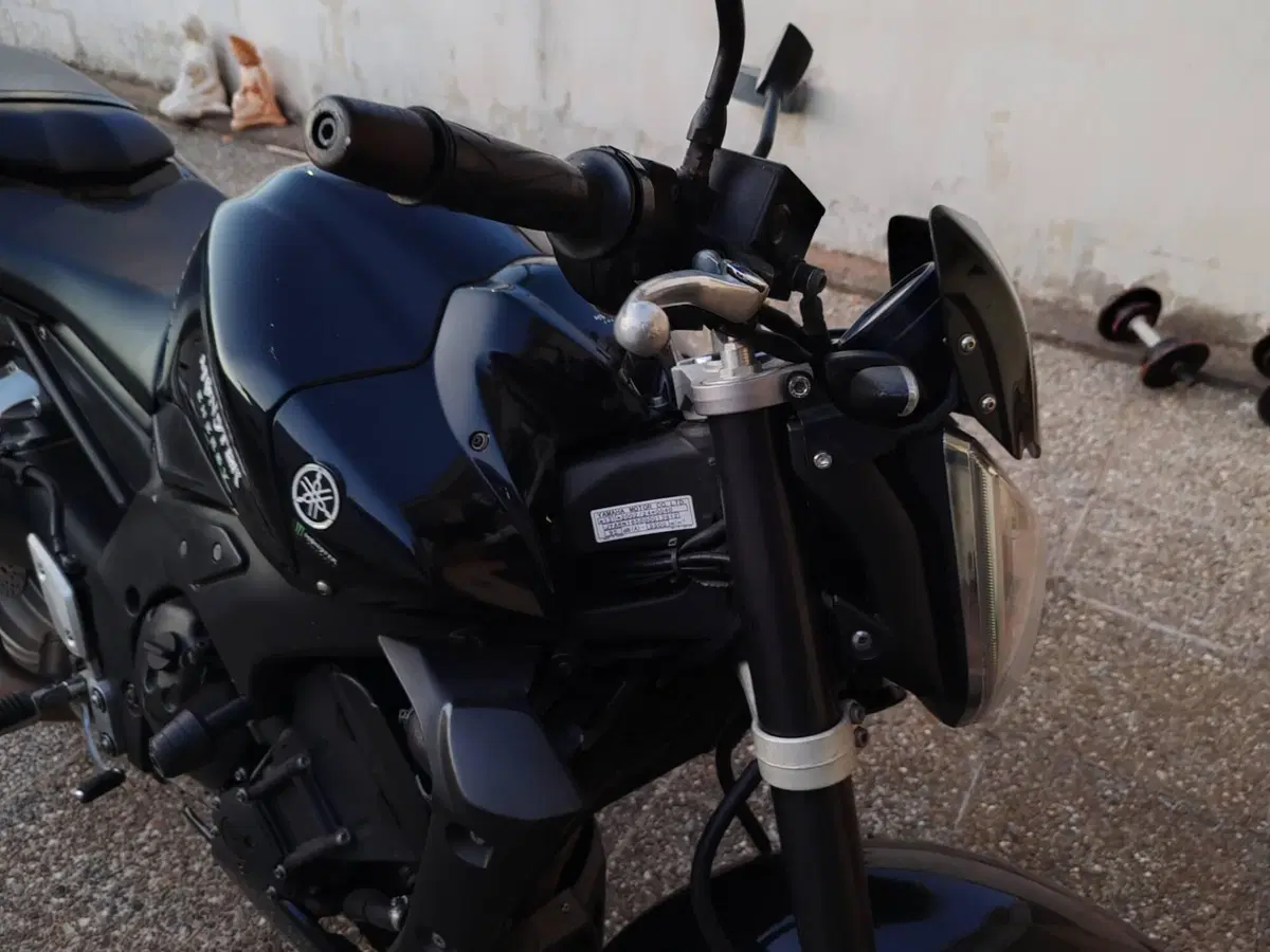 Yamaha FZ1 (2006 - 16) (7)