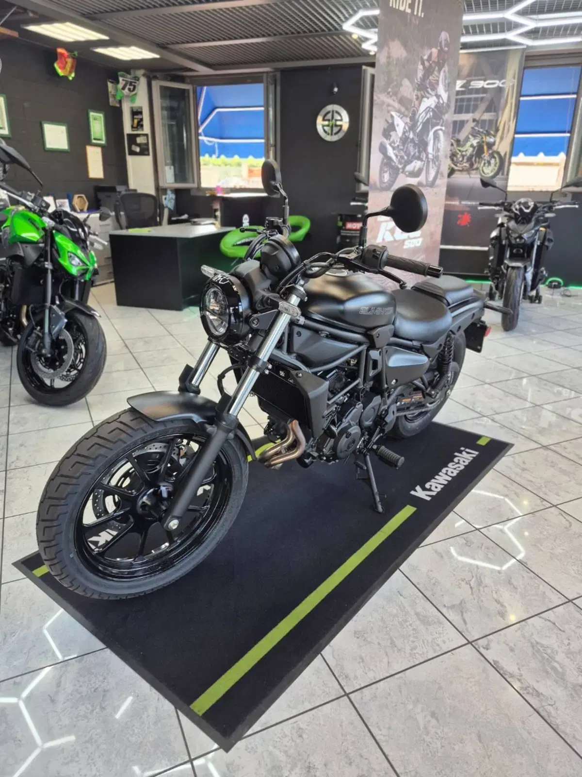 Kawasaki Eliminator 500 (2024 - 26) (3)