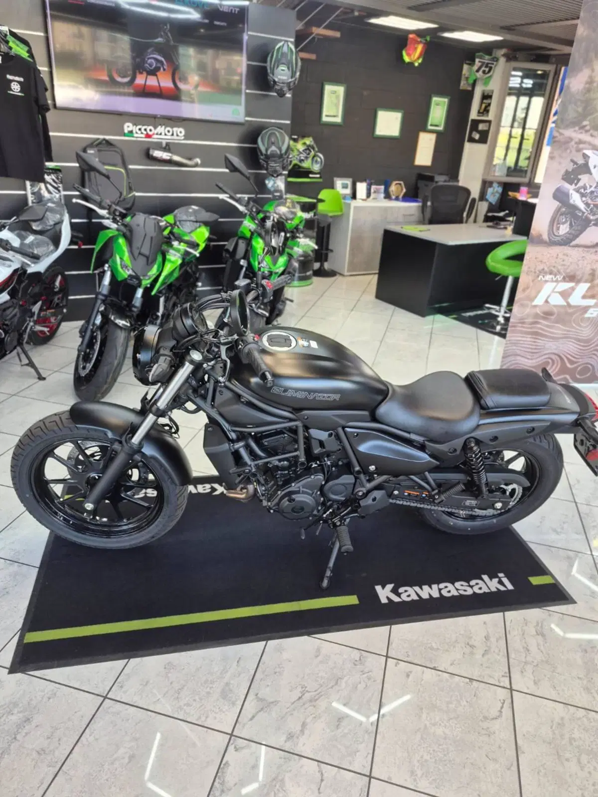 Kawasaki Eliminator 500 (2024 - 26) (5)