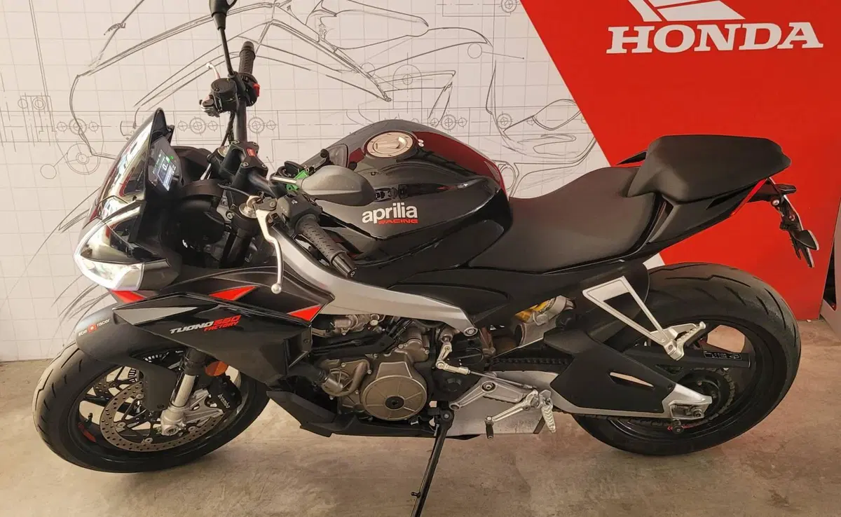 Aprilia Tuono 660 Factory (2022 - 24) (2)