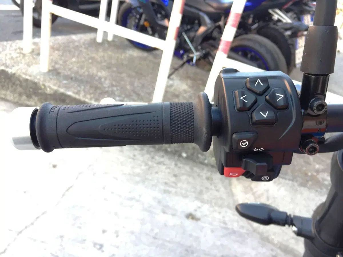 Triumph Speed Twin 900 (2025 - 26) (13)