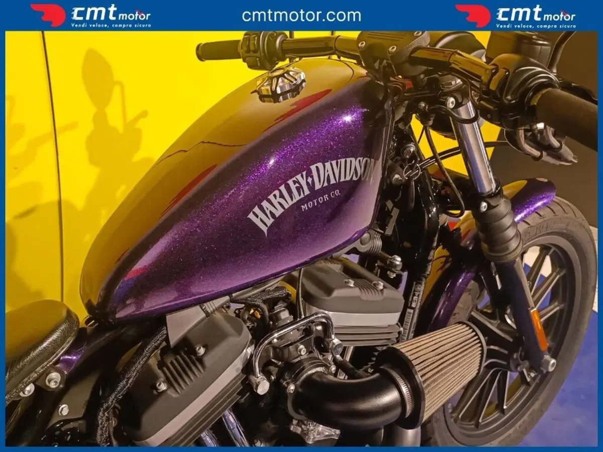 Harley-Davidson 883 Iron (2012 - 14) - XL 883N (5)