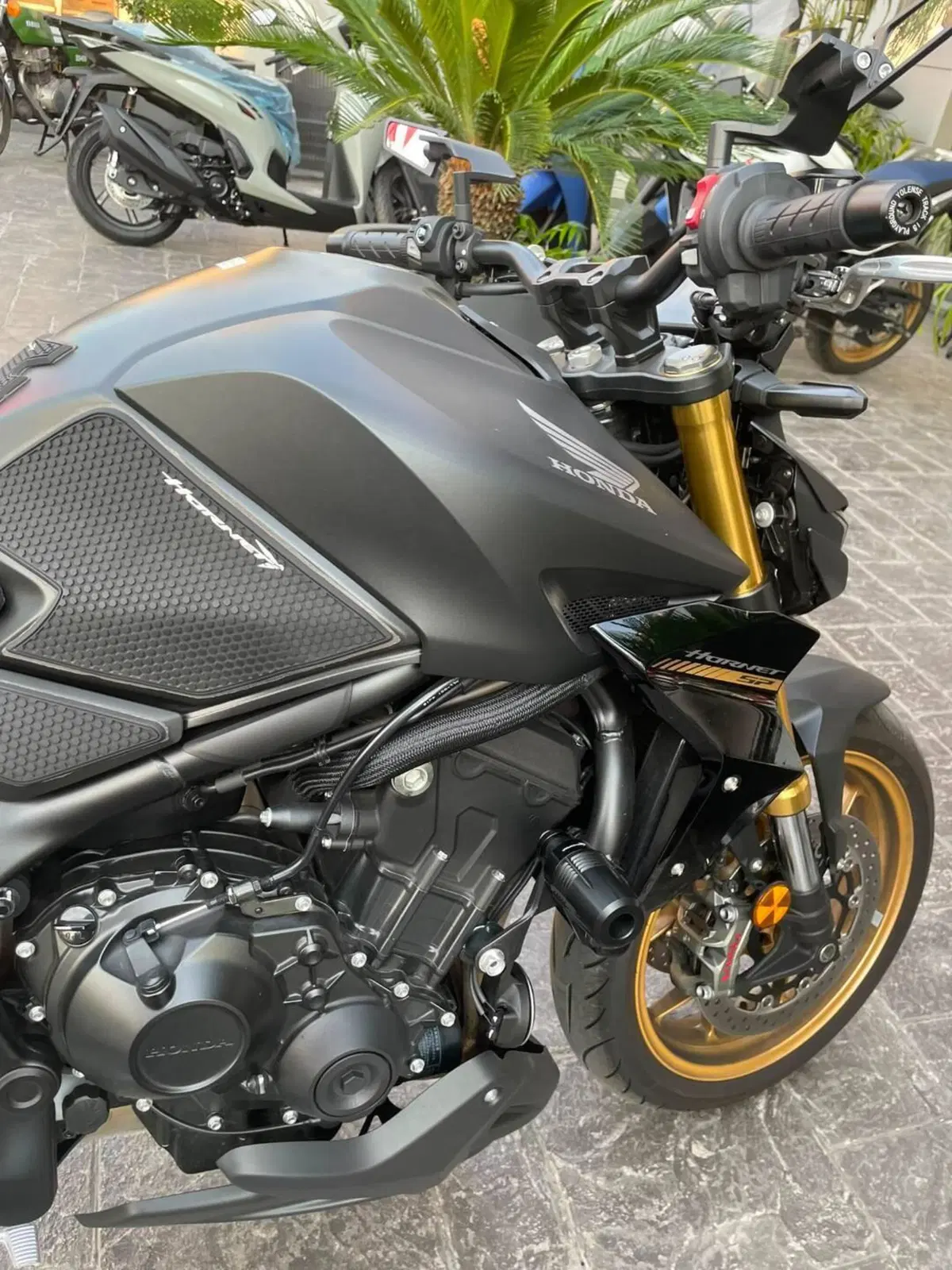 Honda CB 1000 Hornet (2025 - 26) (3)