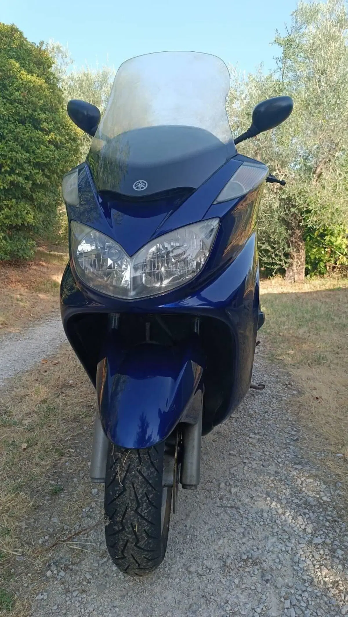 Yamaha Majesty 400 (2004 - 08) (5)