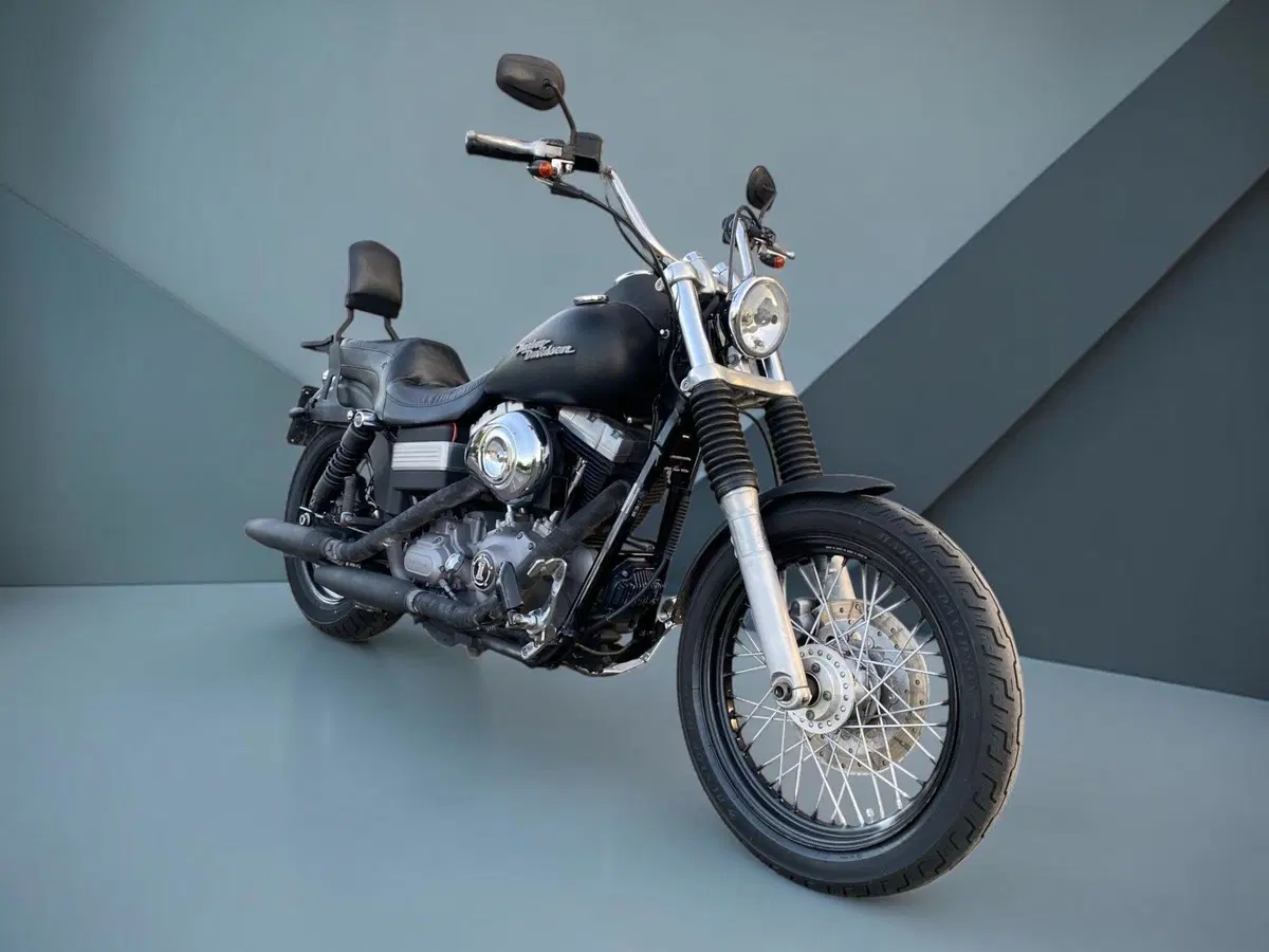 Harley-Davidson 1584 Street Bob (2007) - FXDB (6)