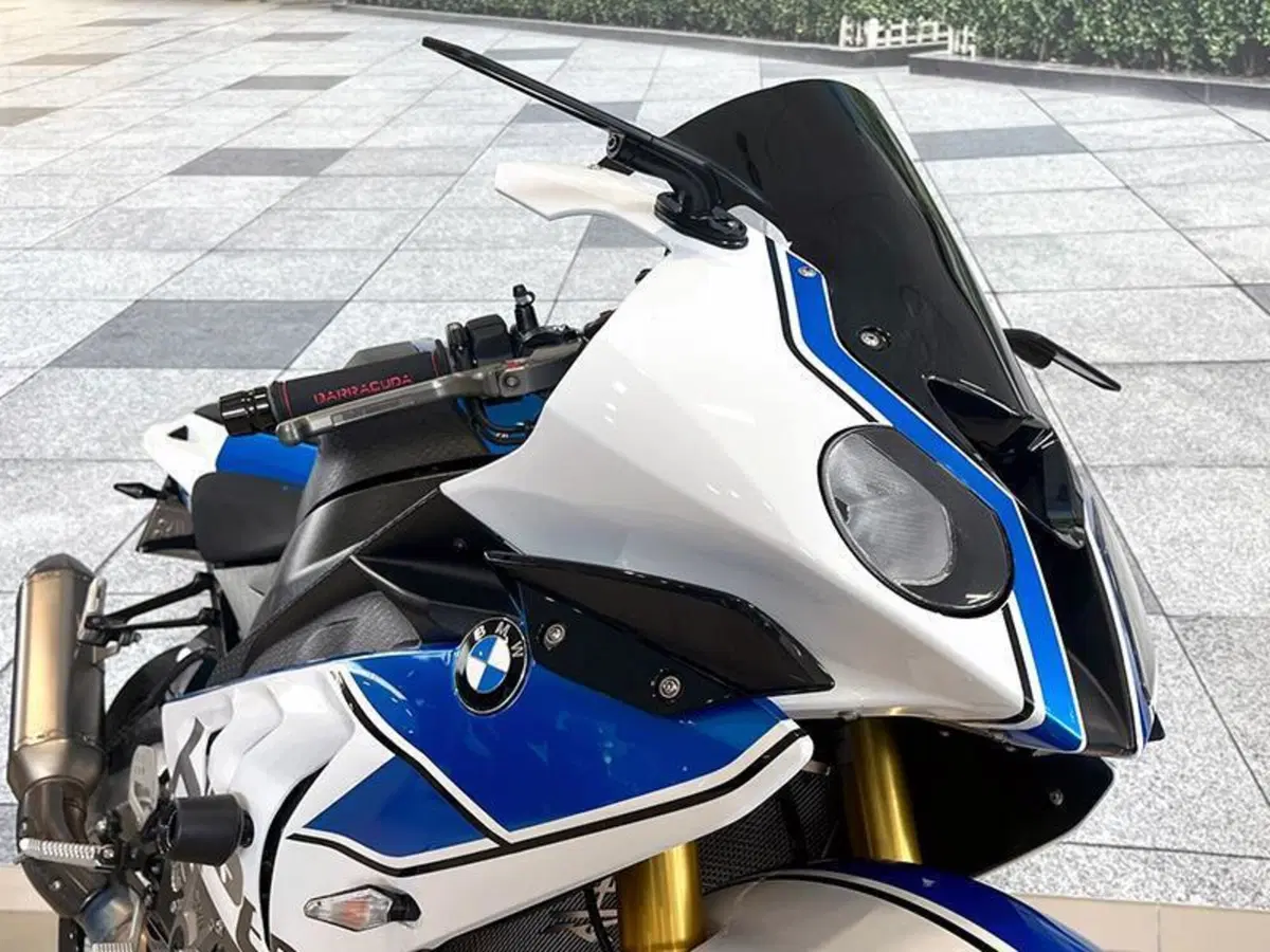 Bmw S 1000 RR (2012 - 14) (7)