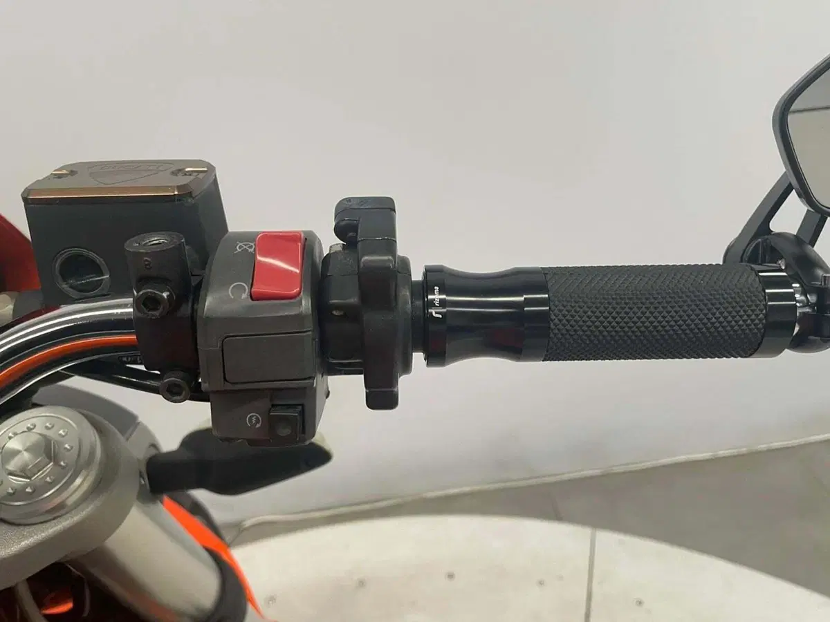 Ducati Monster 696 (2008 - 13) (16)