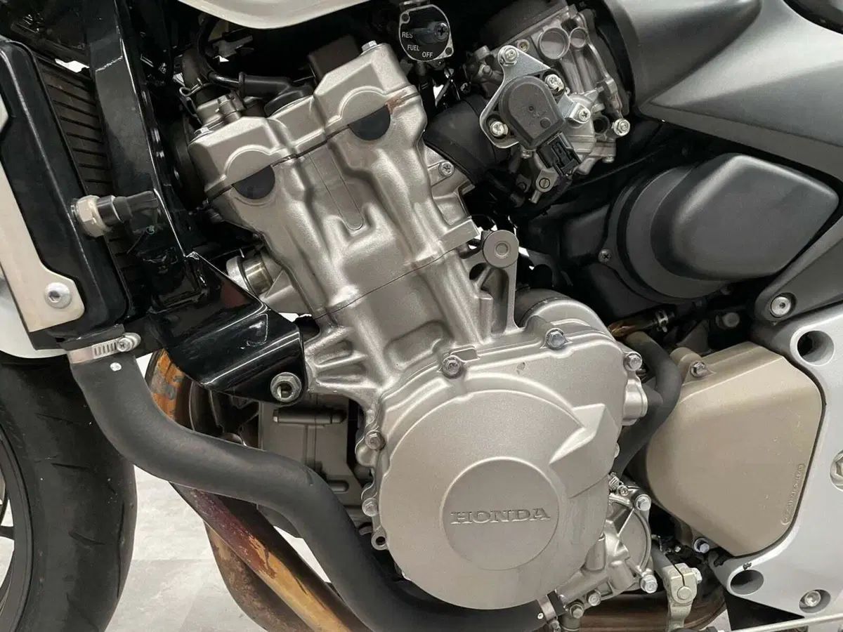Honda Hornet 600 (2003 - 04) (4)