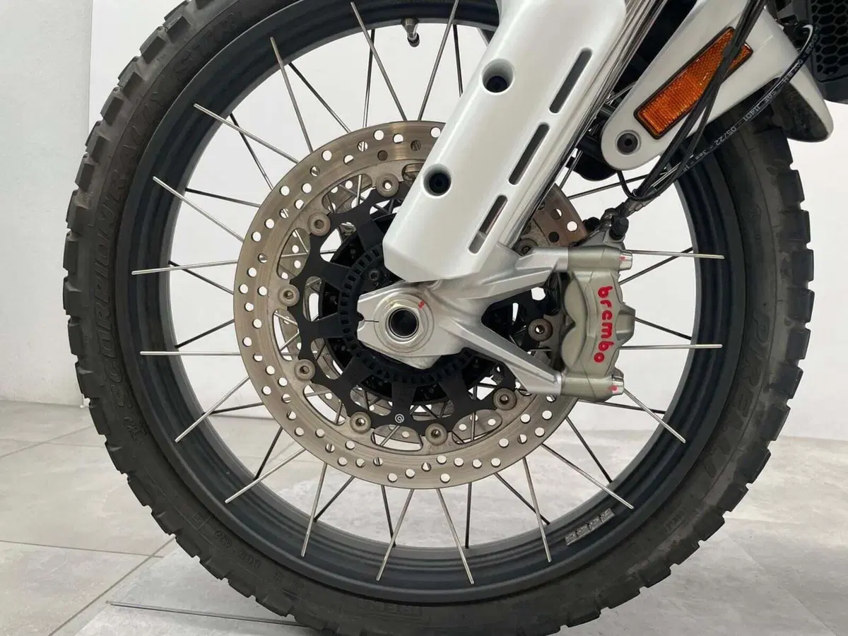 Ducati DesertX (2022 - 25) (16)