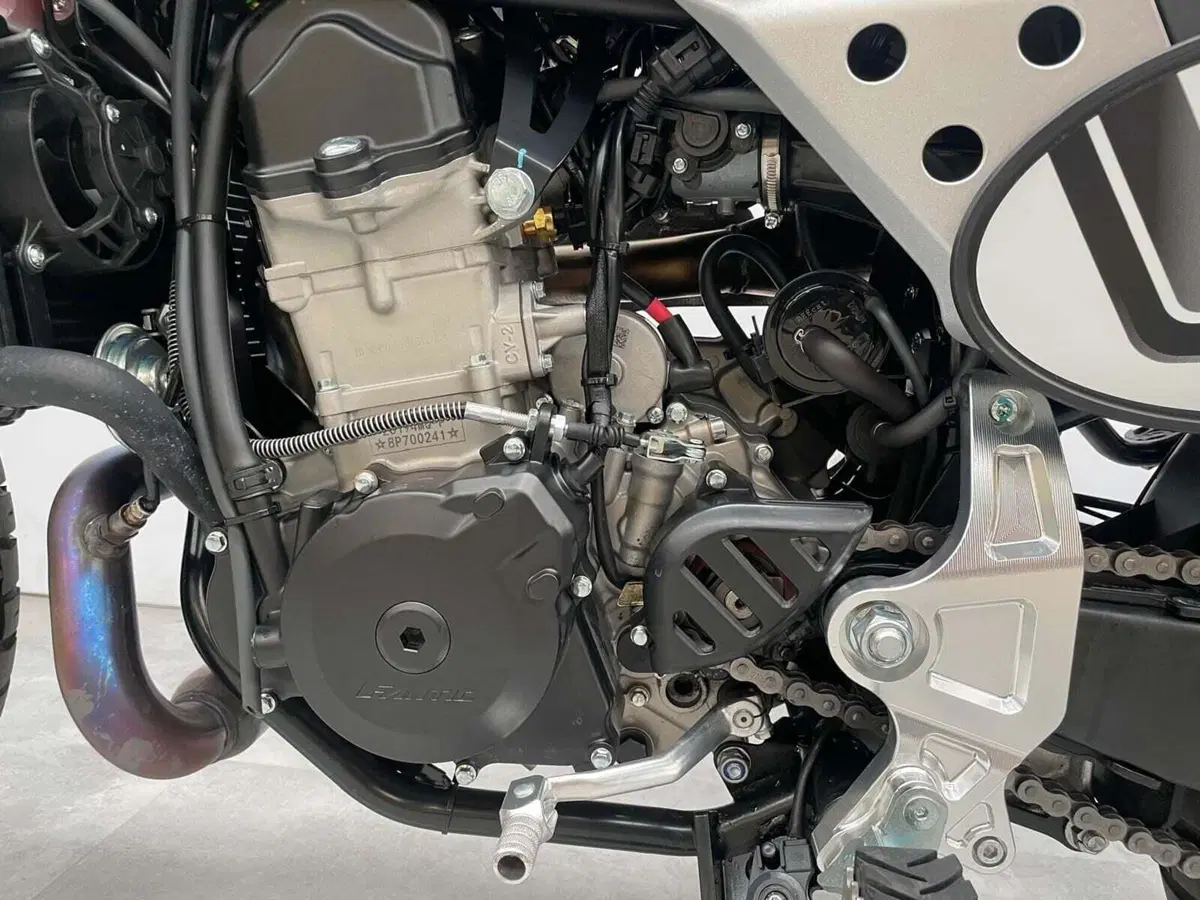 Fantic Motor Caballero 500 Scrambler (2024) (10)