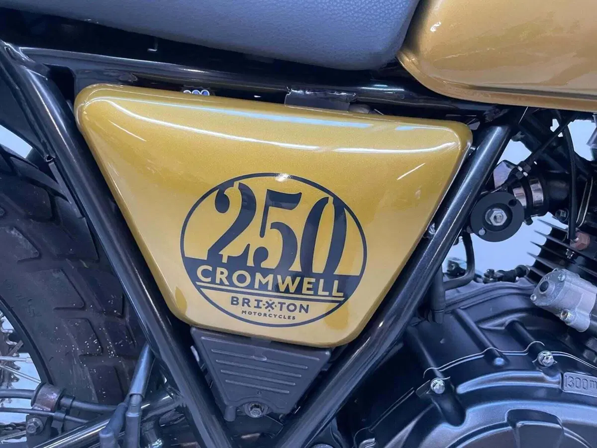 Brixton Motorcycles Cromwell 250 (2021 - 25) (7)