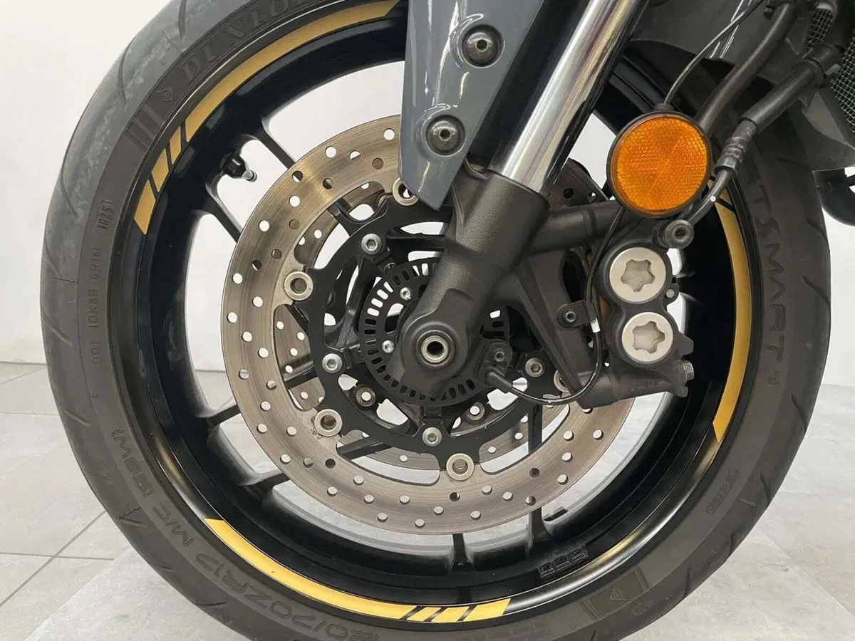 Yamaha Tracer 9 GT+ (2023 - 24) (14)