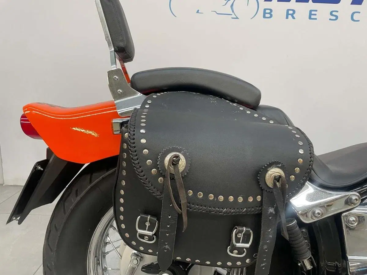 Yamaha XVS 650 Drag Star (1997 - 05) (4)