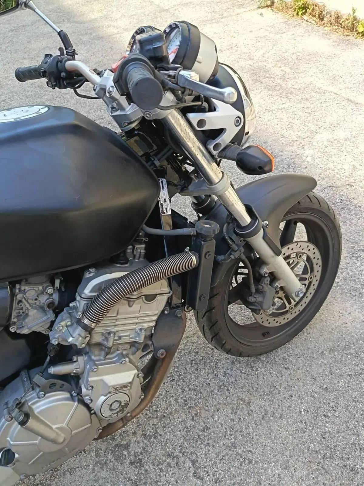 Honda Hornet 600 (2003 - 04) (12)