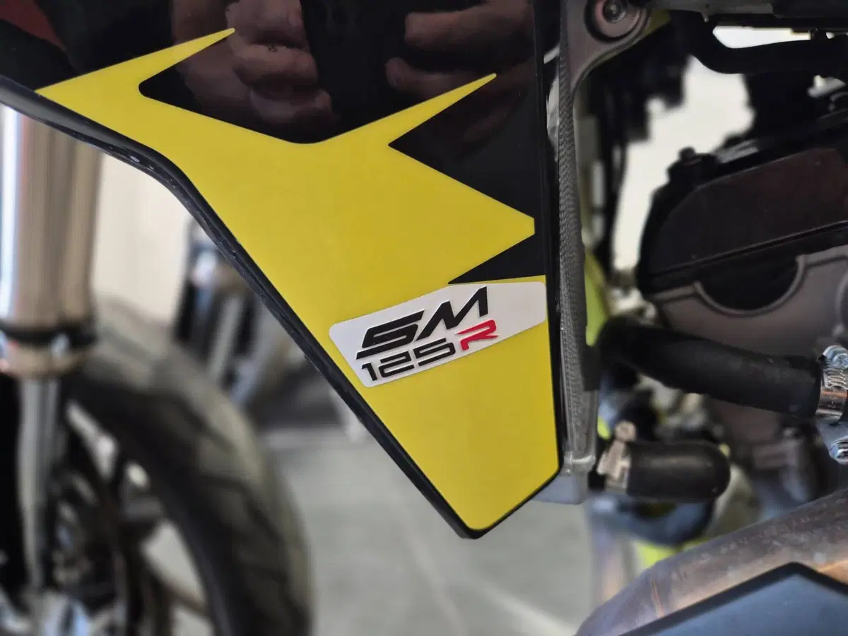 Swm SM 125 R (2017 - 20) (9)