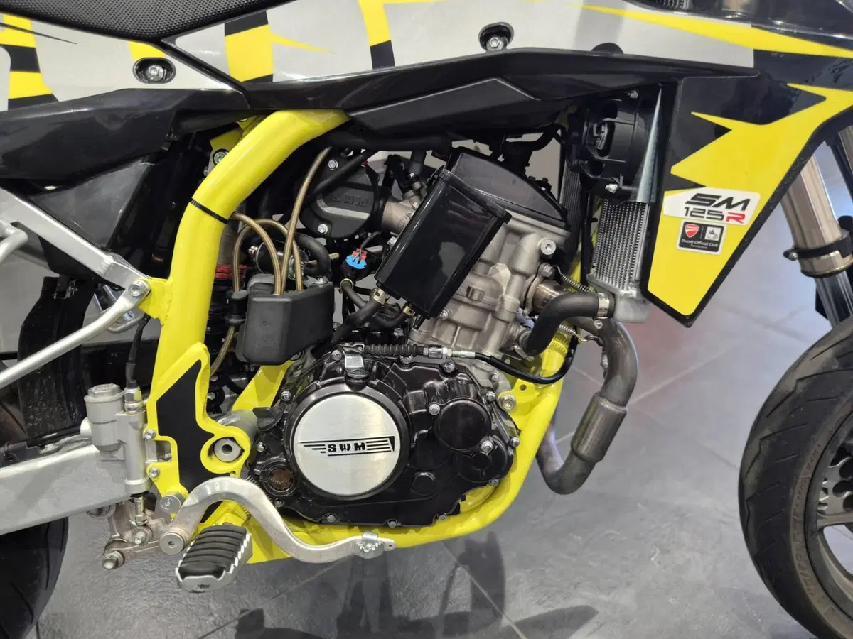 Swm SM 125 R (2017 - 20) (12)