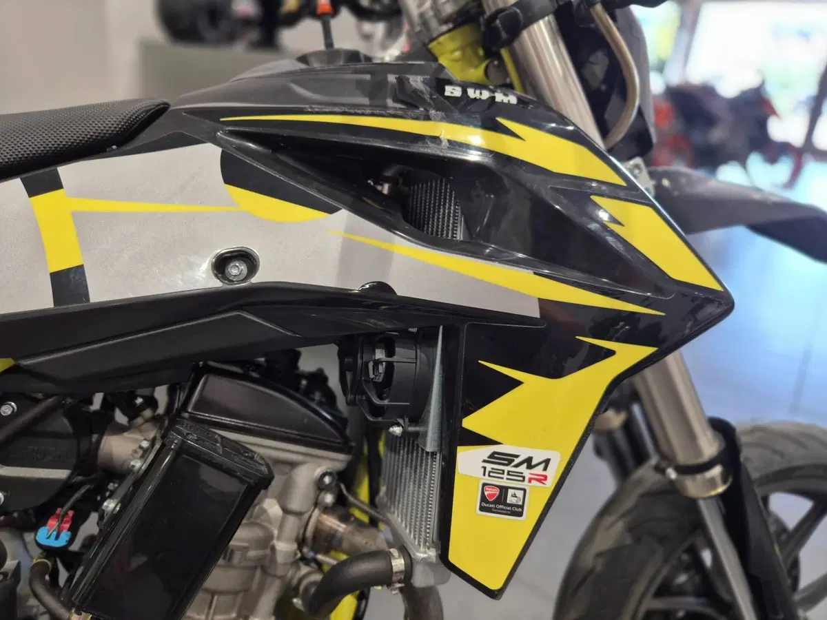 Swm SM 125 R (2017 - 20) (13)