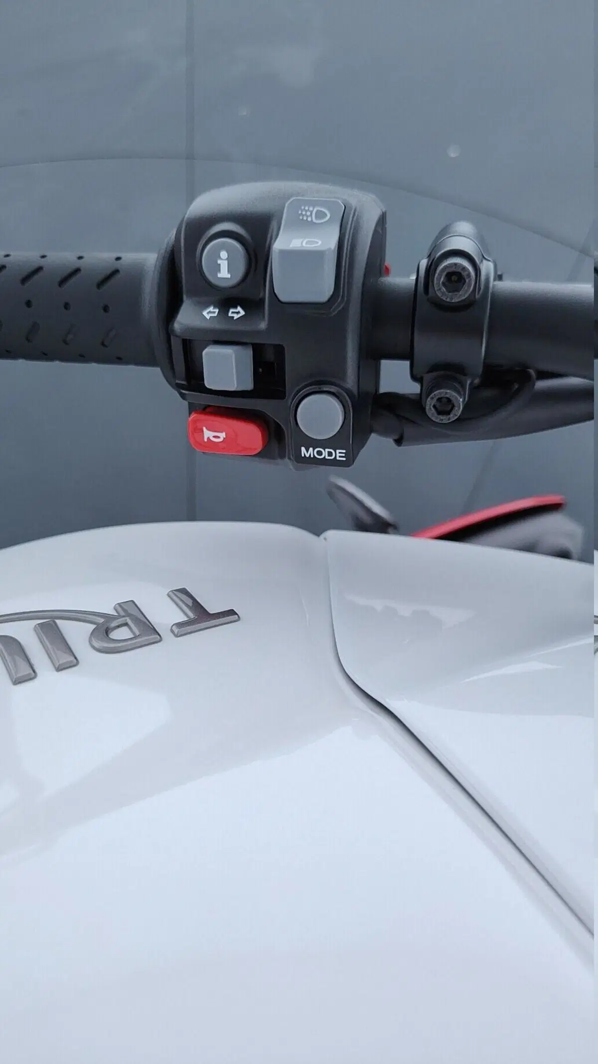 Triumph Speed Triple 1050 R ABS (2016 - 17) (11)