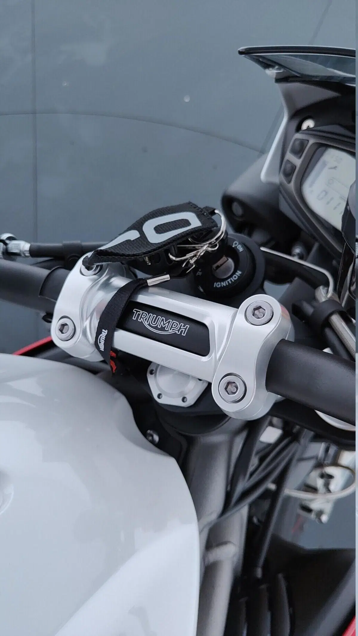 Triumph Speed Triple 1050 R ABS (2016 - 17) (12)