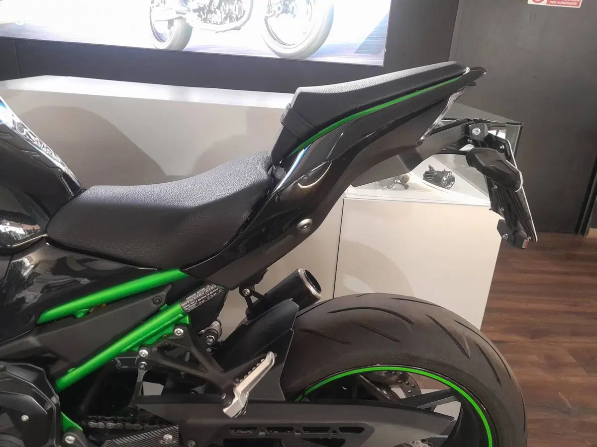 Kawasaki Z 900 SE (2022 - 24) (16)