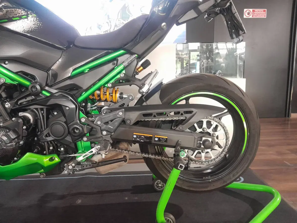 Kawasaki Z 900 SE (2022 - 24) (17)