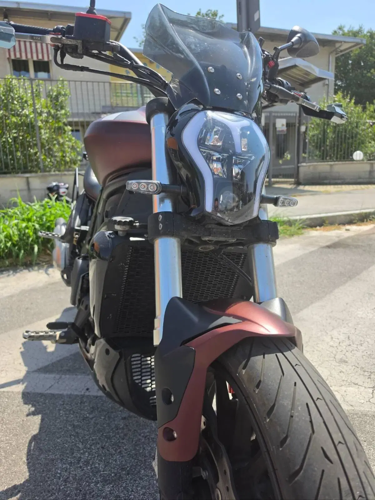 Benelli 502 C (2021 - 25) (4)