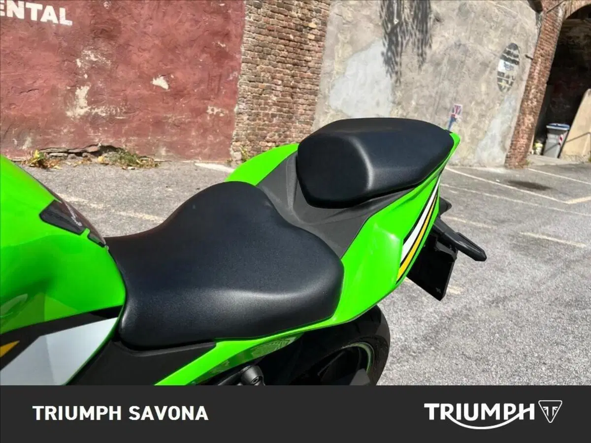 Kawasaki Ninja ZX-4RR (2024 - 26) (5)