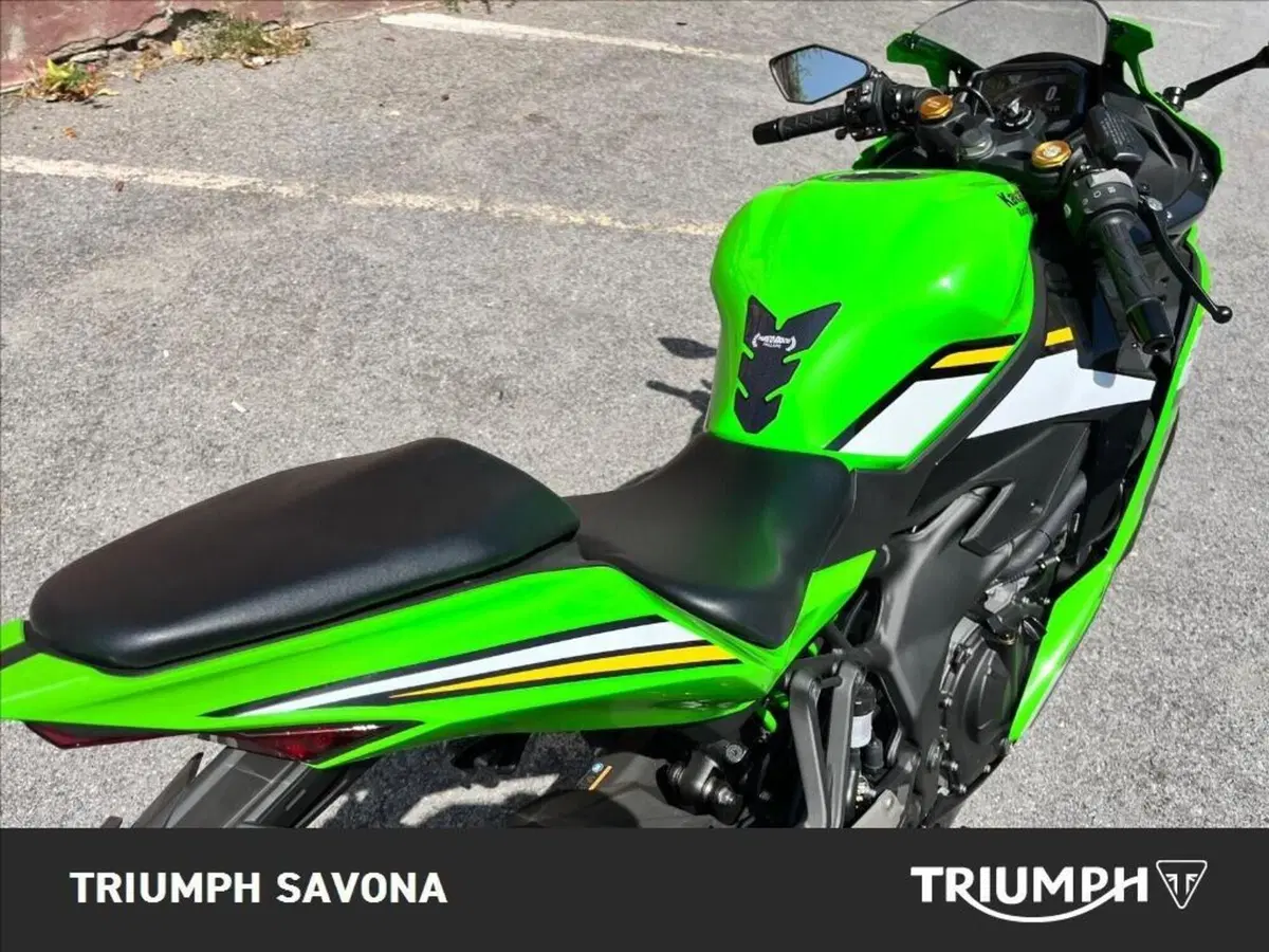 Kawasaki Ninja ZX-4RR (2024 - 26) (13)