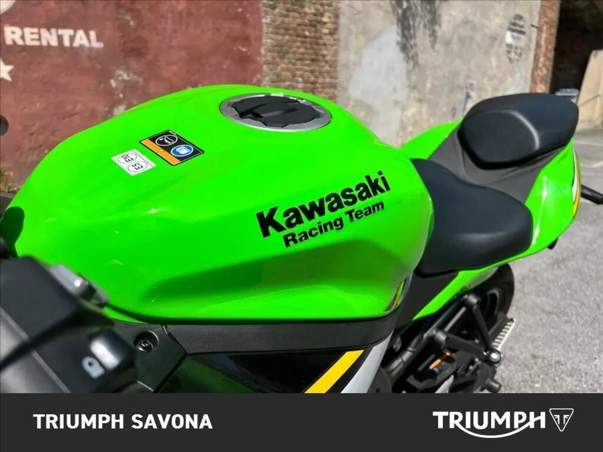 Kawasaki Ninja ZX-4RR (2024 - 26) (3)