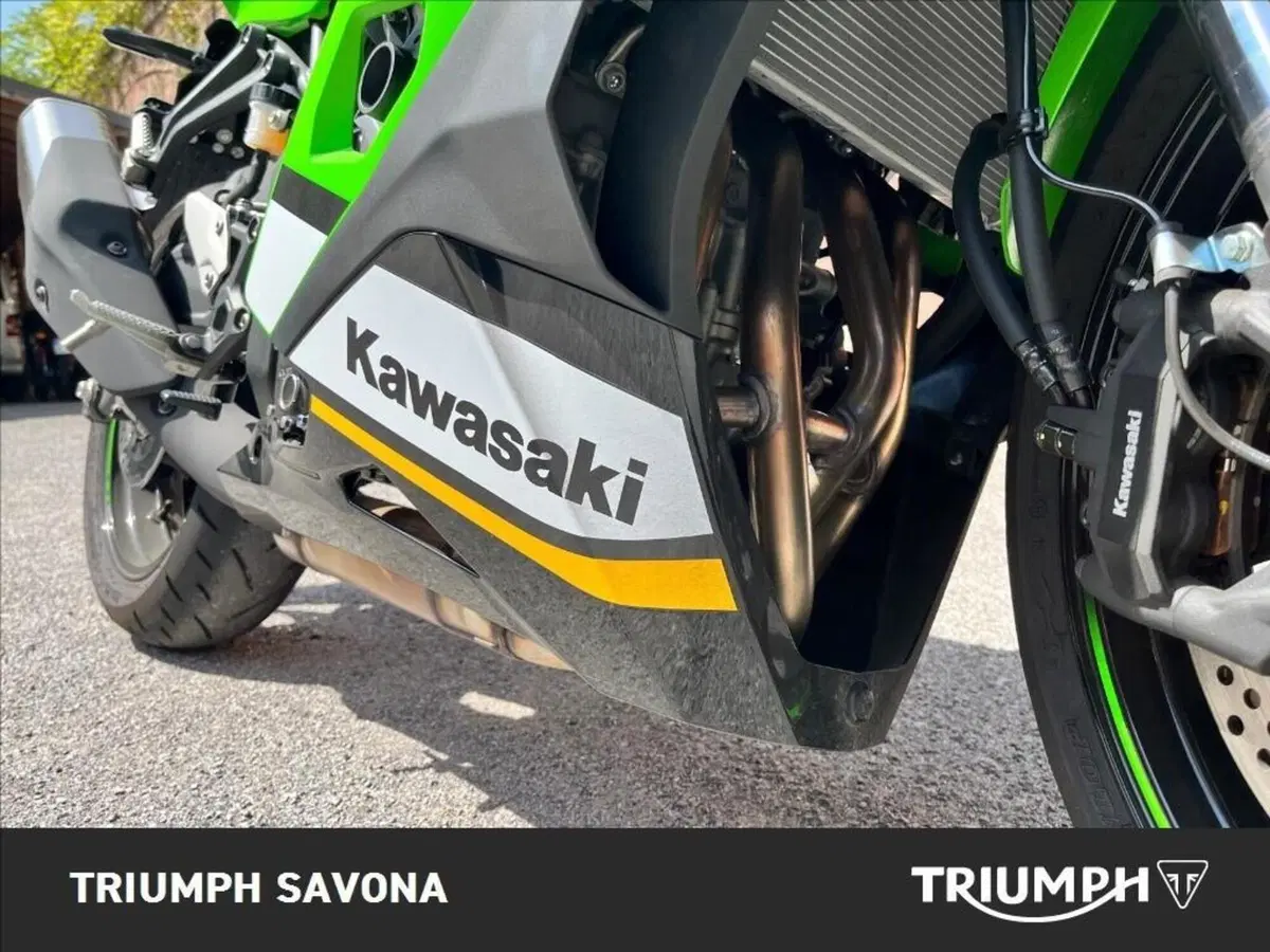 Kawasaki Ninja ZX-4RR (2024 - 26) (16)