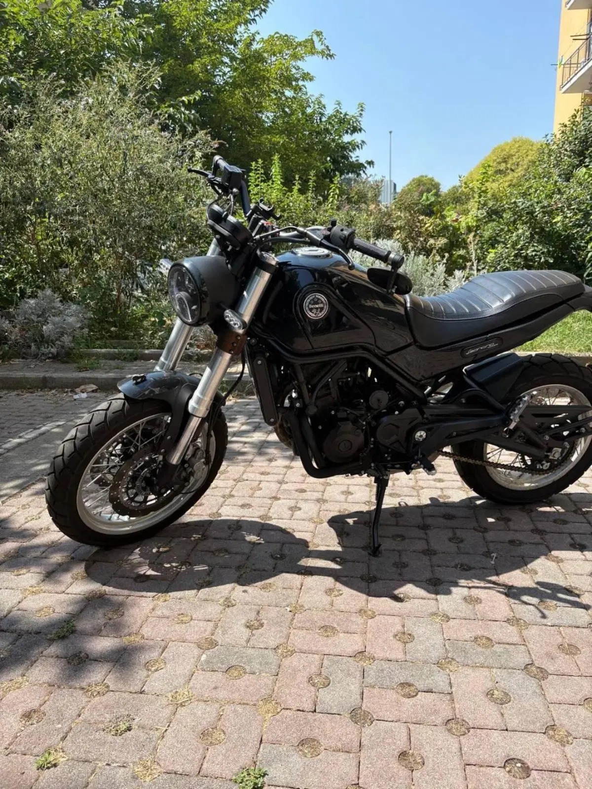 Benelli Leoncino 500 Trail (2021 - 26) (2)