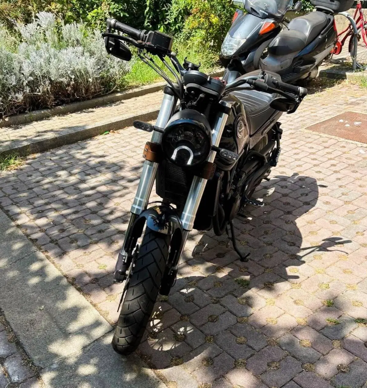 Benelli Leoncino 500 Trail (2021 - 26) (4)