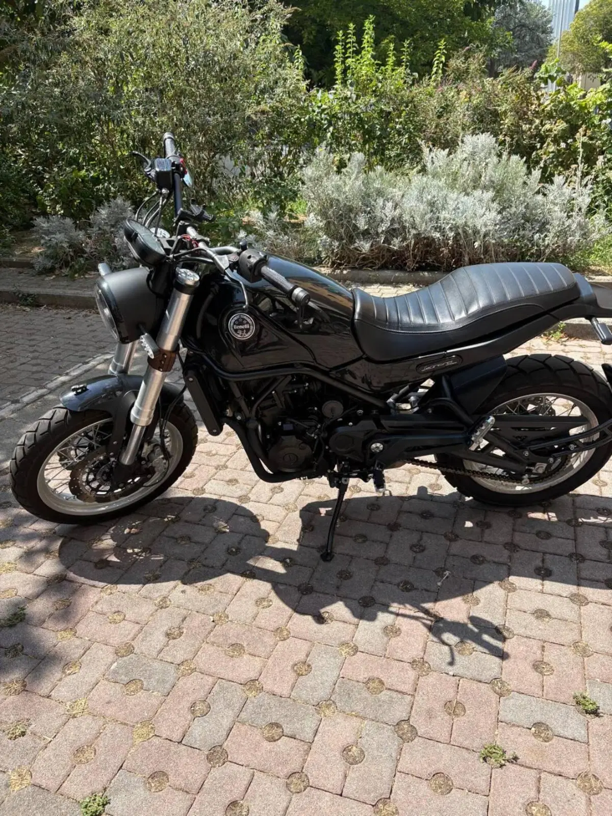 Benelli Leoncino 500 Trail (2021 - 26) (12)