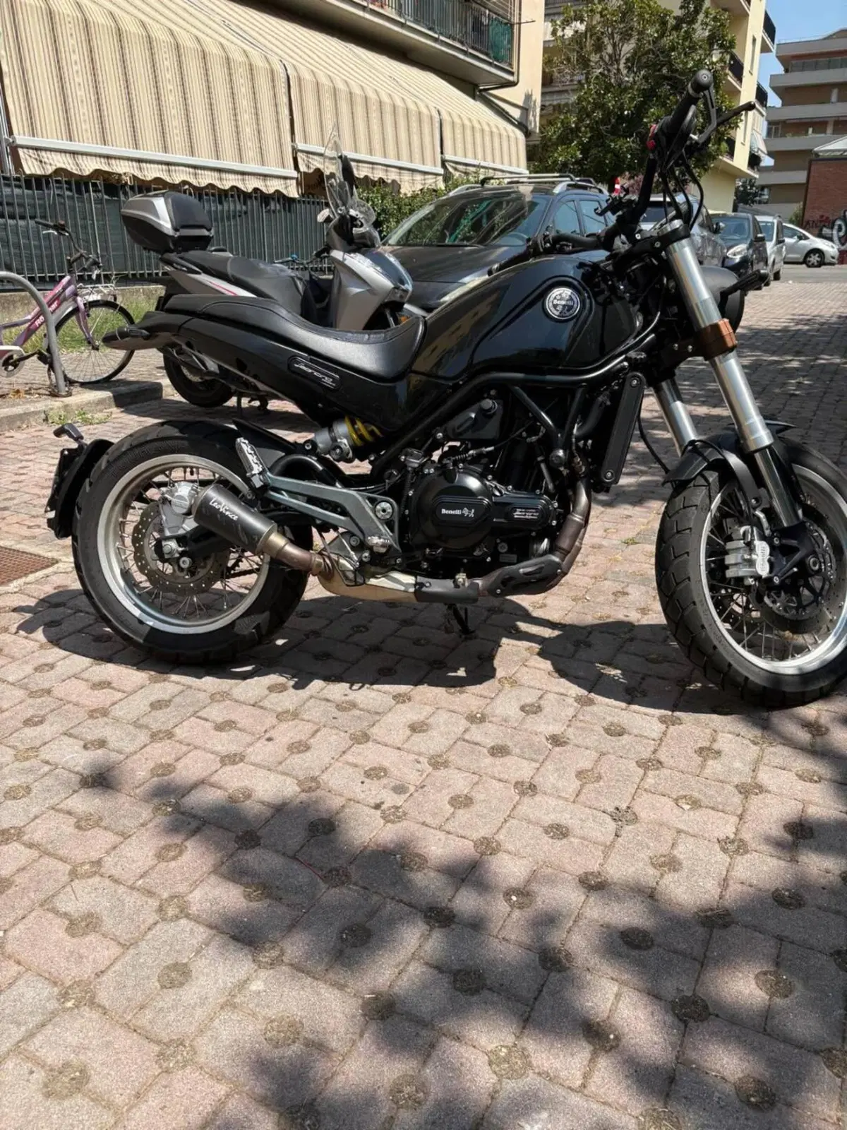 Benelli Leoncino 500 Trail (2021 - 26) (13)